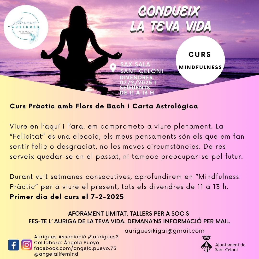 Curs: Mindfulness a càrrec de  l'associació Aurigues al Sax Sala