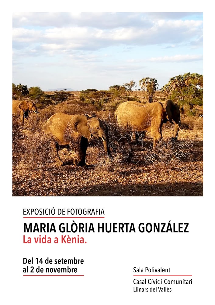 Exposició de fotografia - La vida a Kènia