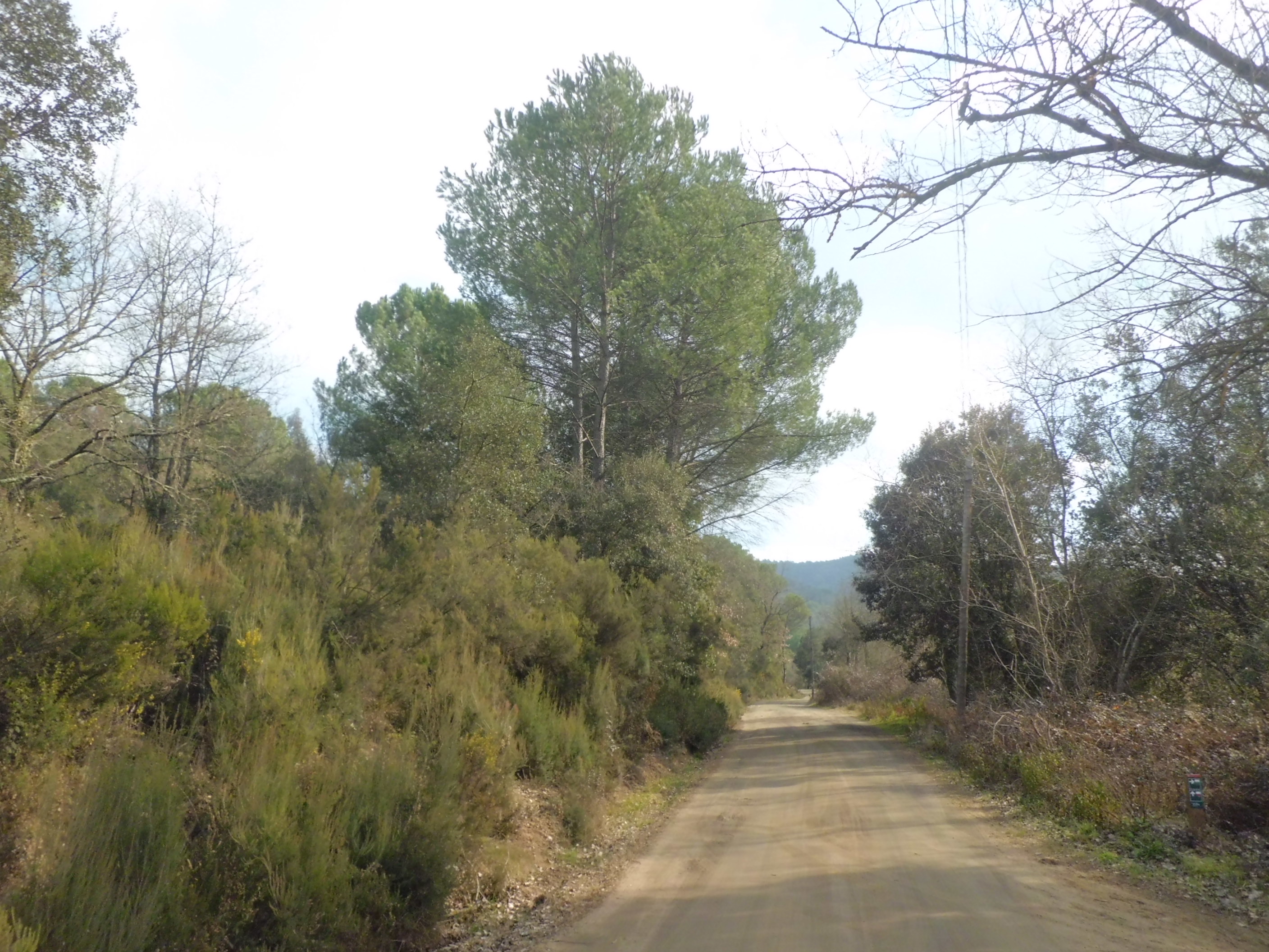 Passejada guiada per la Serra de Can Puig