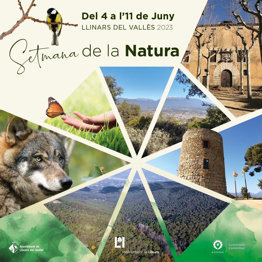 Noves exposicions a l'Espai Art Llinars