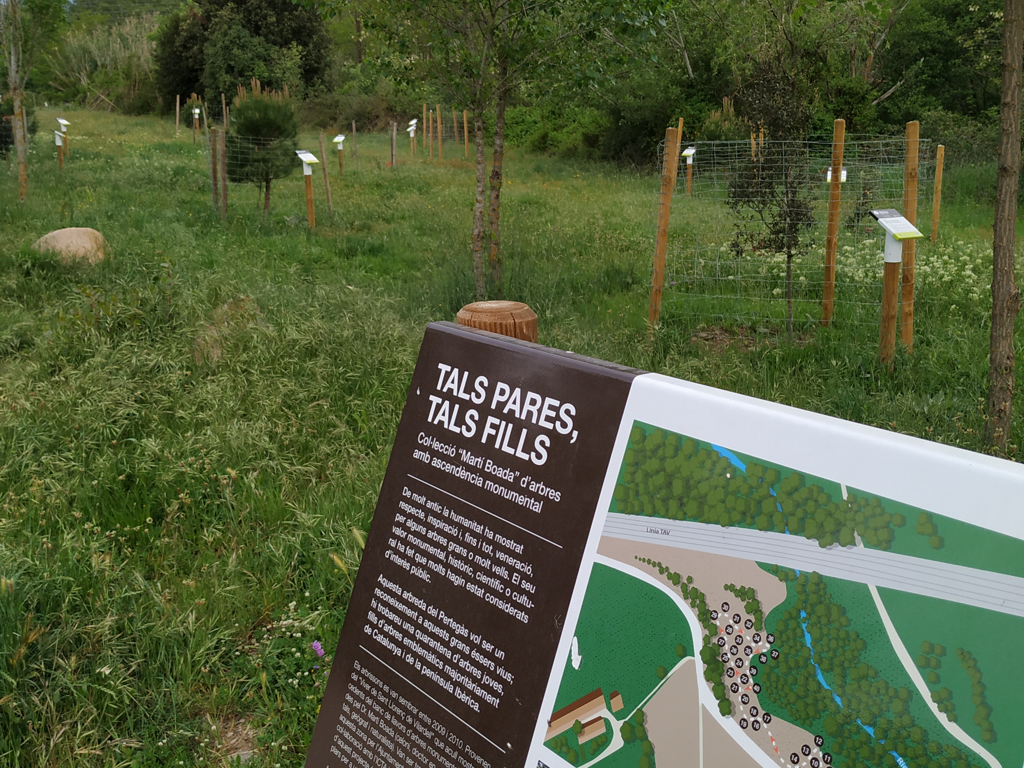 Visita guiada a l'arbreda del Pertegàs