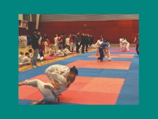 XXXIV Torneig judo Vila d'Arbúcies