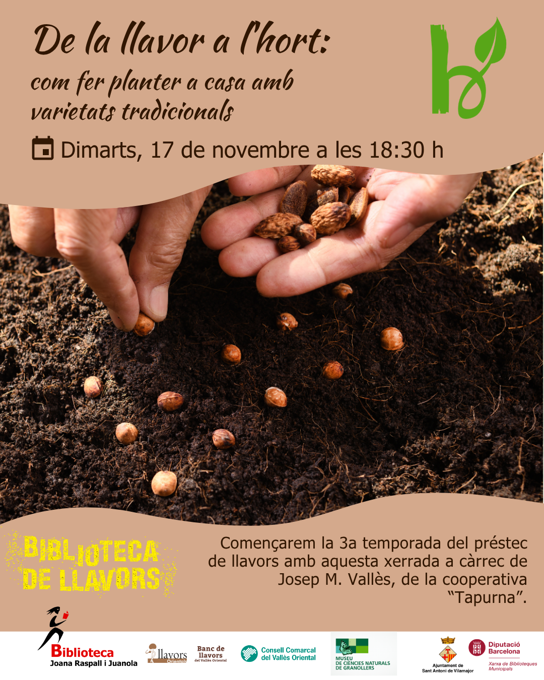 De la llavor a l'hort: com fer planter a casa amb varietats tradicionals