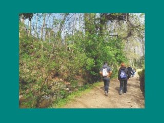Passejada guiada - Les històries que ens porta l'aigua