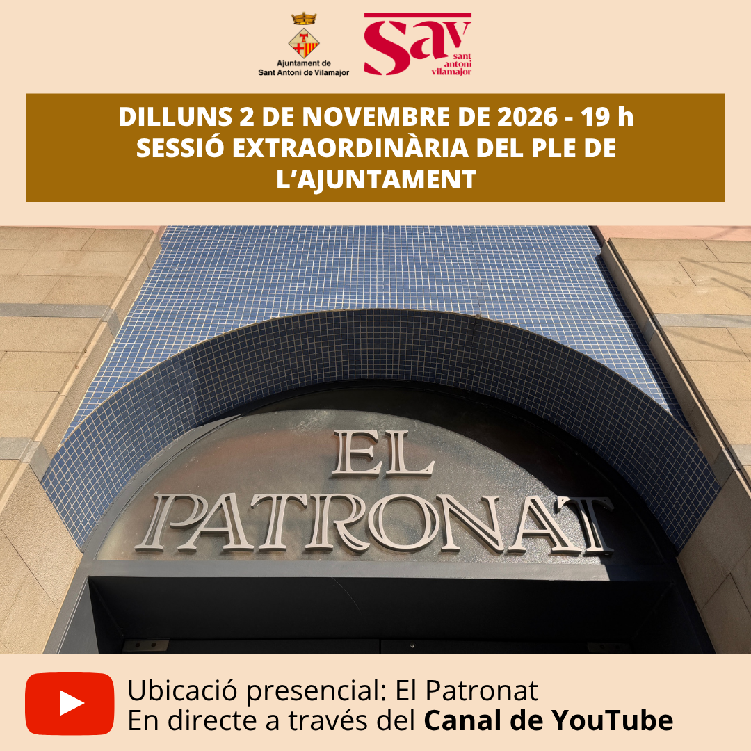 Ple extraordinari de novembre