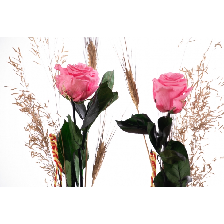 Rosa liofilitzada rosa de Sant Jordi + violeter