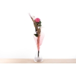 Rosa liofilitzada rosa de Sant Jordi + gerro vidre thumb