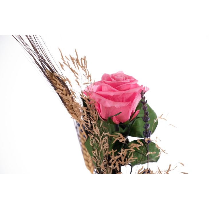 Rosa liofilitzada rosa de Sant Jordi + gerro vidre