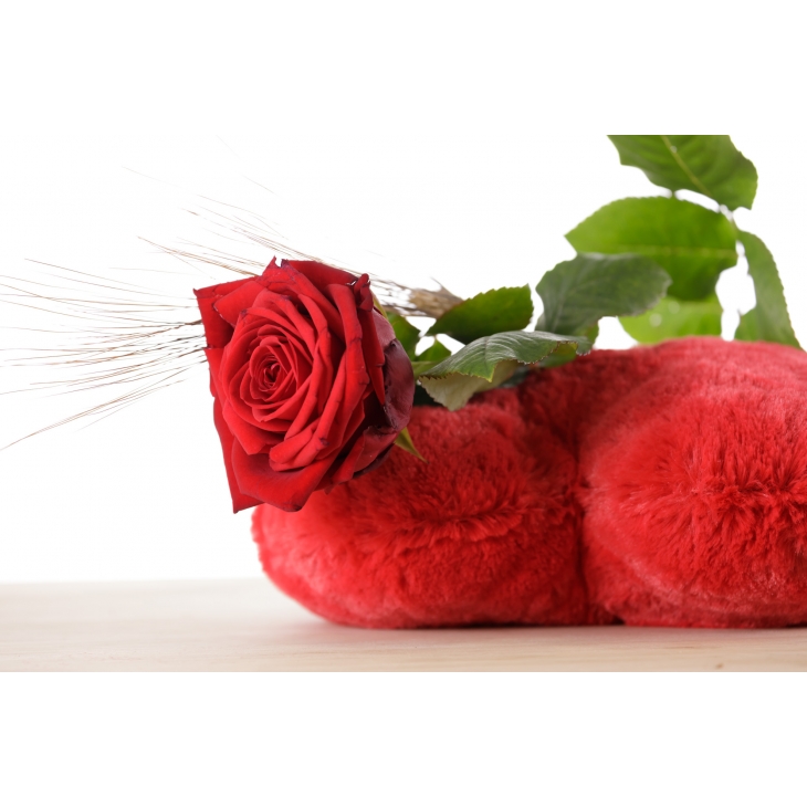 1 Rosa - Drac Eldor 45cm de Sant Jordi