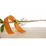1 Rosa - Drac Eldor 45cm de Sant Jordi thumb