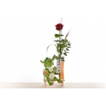 1 Rosa - Drac Eldor 45cm de Sant Jordi thumb
