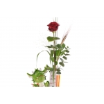 1 Rosa - Drac Eldor 45cm de Sant Jordi thumb