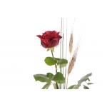 1 Rosa - Drac Eldor 45cm de Sant Jordi thumb