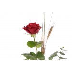 1 Rosa - Drac Eldor 45cm de Sant Jordi thumb