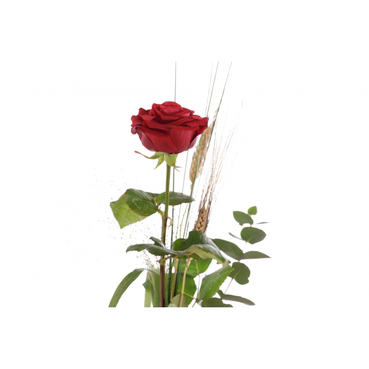 1 Rosa - Drac Eldor 45cm de Sant Jordi