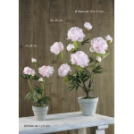 Test Peonia 5 Fl-5 Cap. 60 Cm. Rosa. Artificial. (Caixa 1 Uni.) thumb