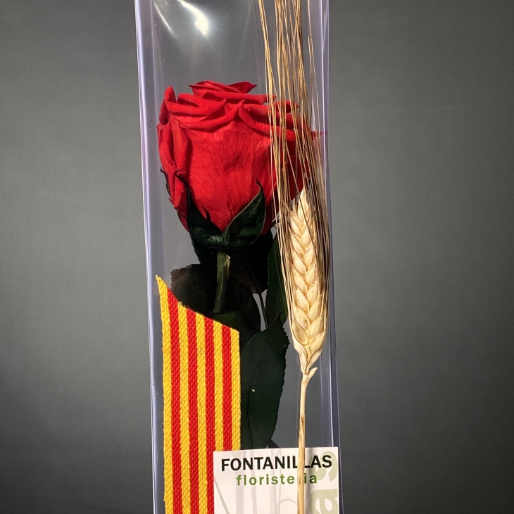 Rosa liofilitzada vermella 'Caixa 70cm St Jordi'