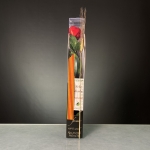 Rosa liofilitzada vermella 'Caixa 70cm St Jordi' thumb