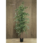 Ficus Ex“Tica. 170 Cm. Variegata. Artificial. (Caixa 1 Uni.) thumb
