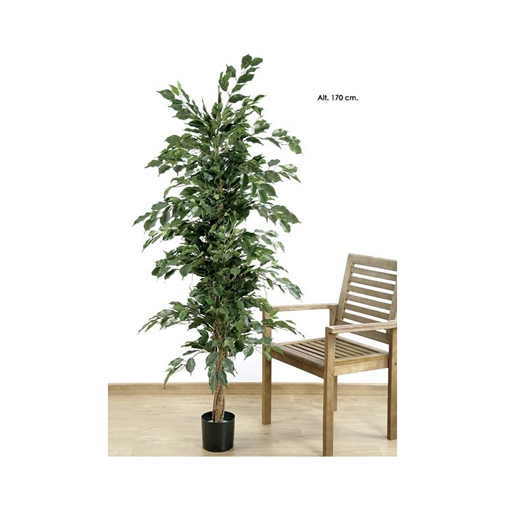 Ficus Ex“Tica. 170 Cm. Verd. Artificial. (Caixa 1 Uni.)