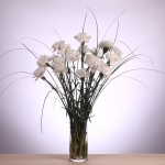 POM DE CLAVELL COLOMBIA thumb