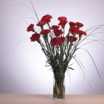 POM DE CLAVELL COLOMBIA thumb