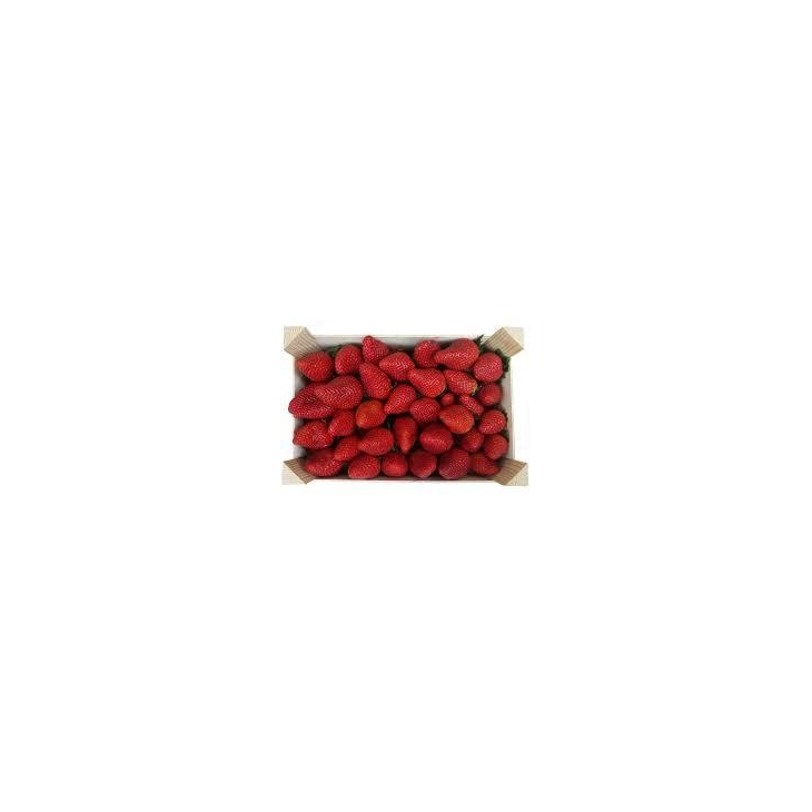 Tarrina de Maduixes del Maresme (2 kg)