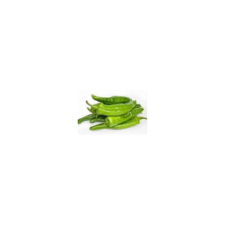 Pebrot Verd Italia Extra