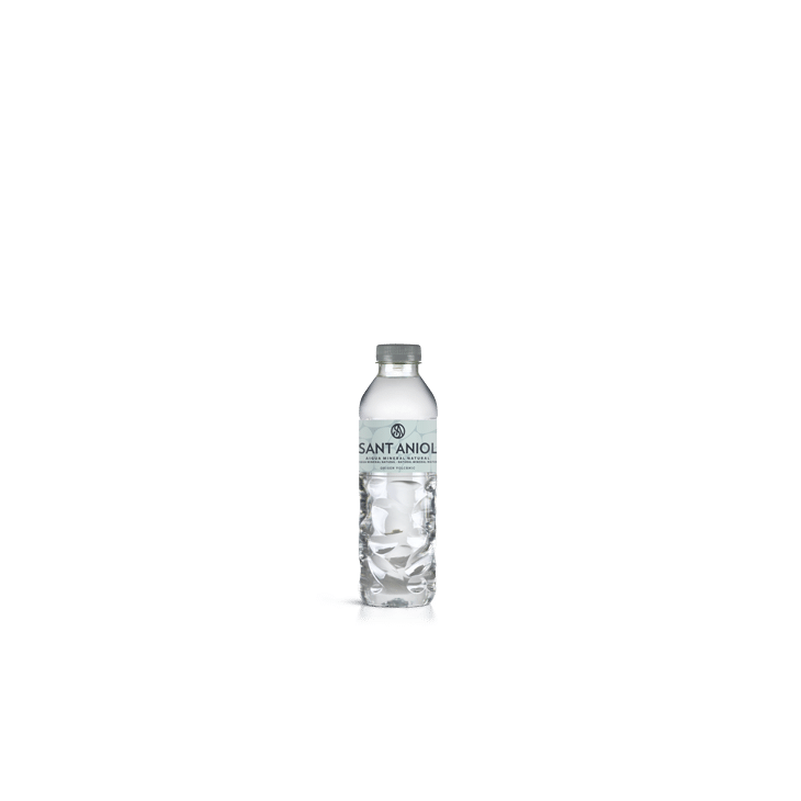 Sant Aniol 33cl