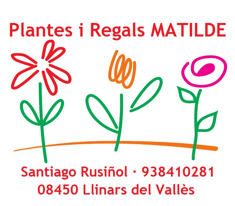 Plantes i Regals Matilde
